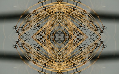 Papyrus frond